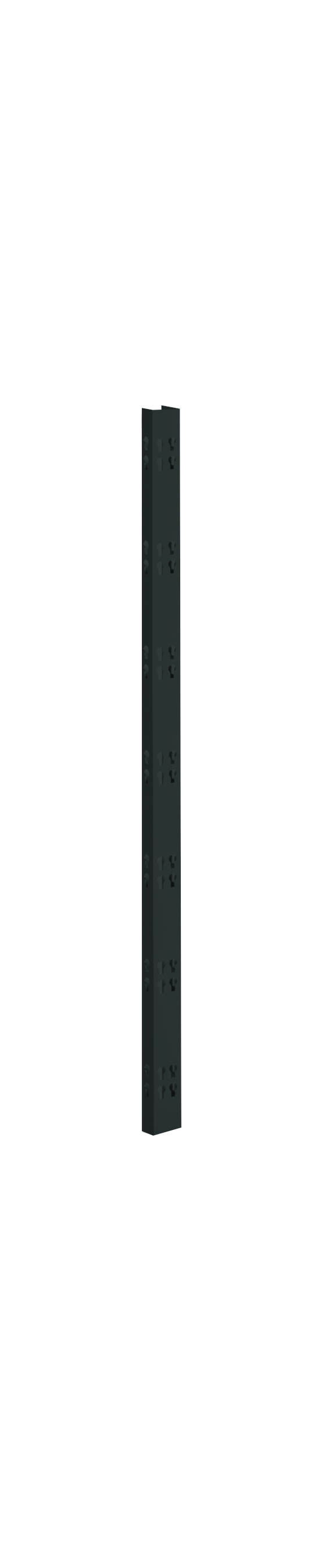 2 Profi-Stecksystem C-Holme, 195x4,2x2,8 cm (HxBxT), schwarz