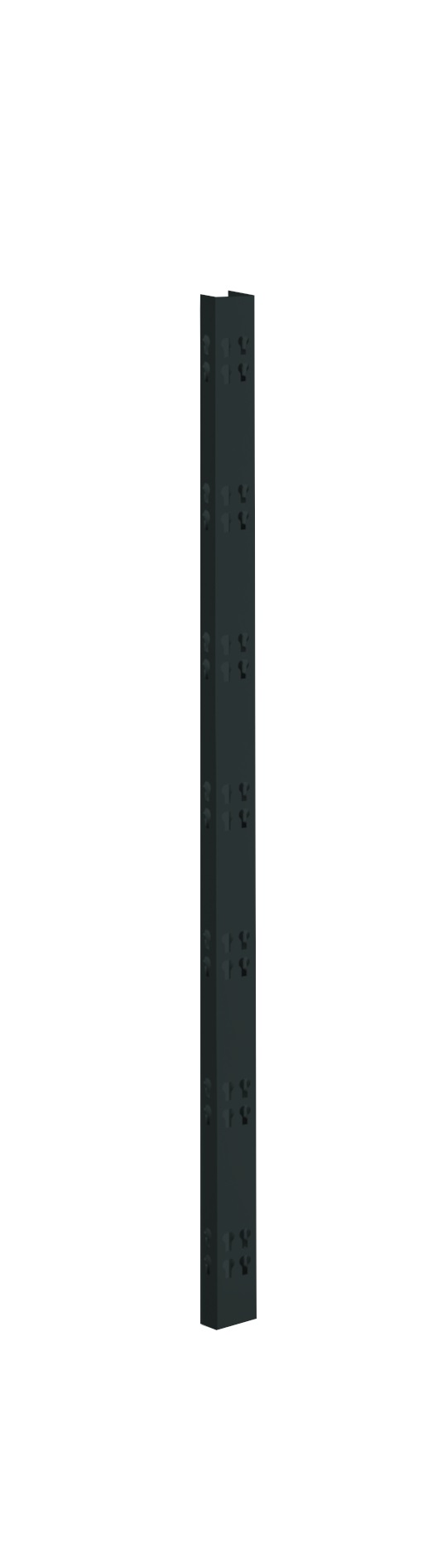2 Profi-Stecksystem C-Holme, 105x4,2x2,8 cm (HxBxT), schwarz