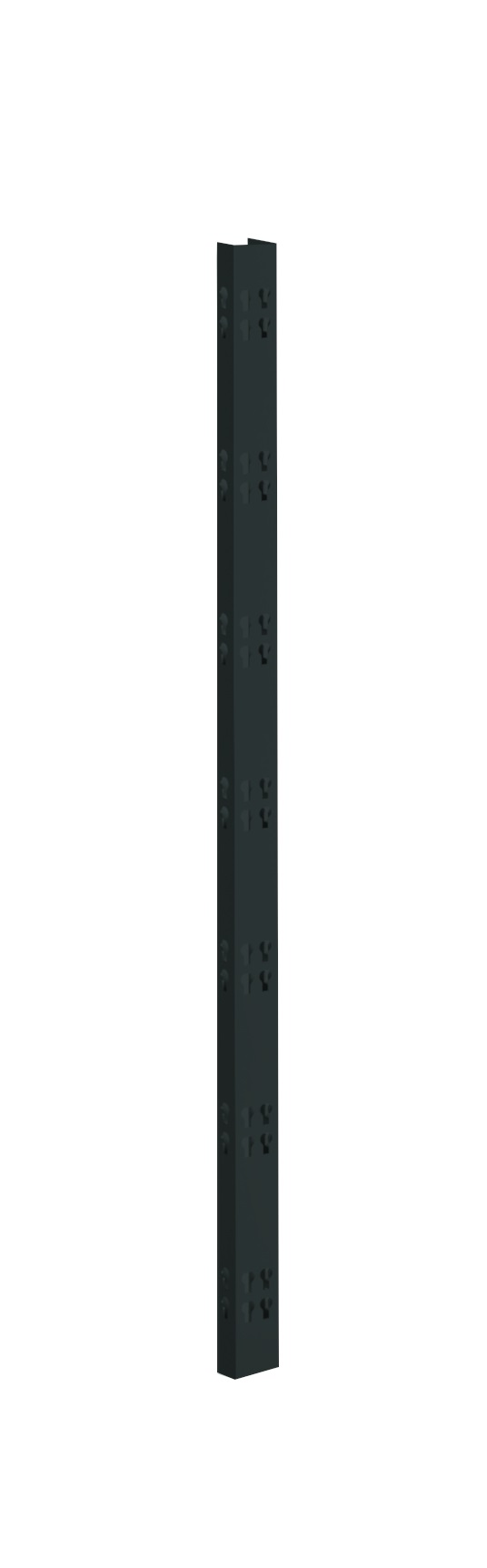 2 Profi-Stecksystem C-Holme, 195x4,2x2,8 cm (HxBxT), schwarz